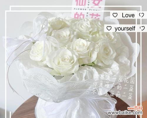 白玫瑰作为礼物的花语含义是什么？