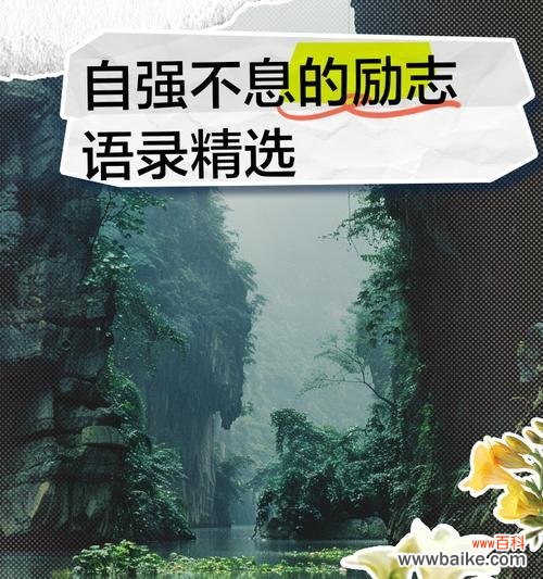 哪种花代表自强不息和励志？