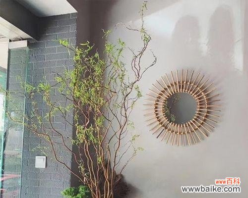 雪柳干花的花语与寓意是什么?它象征着什么?