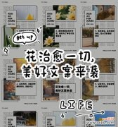 春日美好时光的花语有哪些？