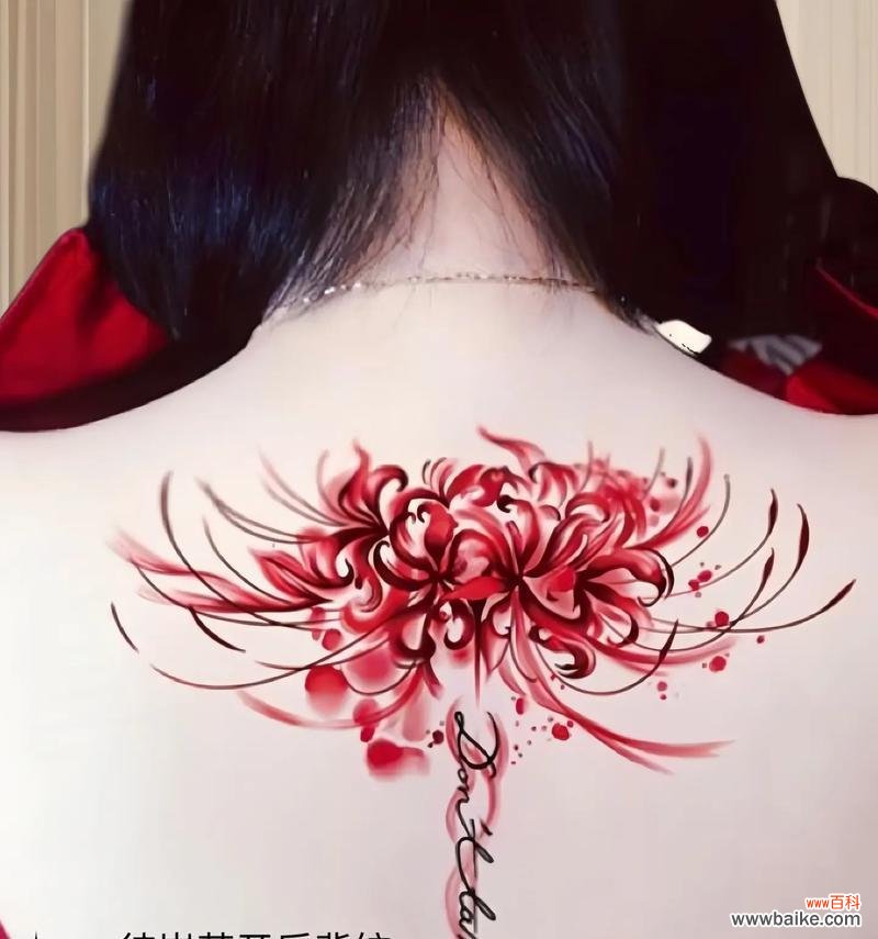 彼岸花开放的花语含义是什么?荷花的花语代表什么?