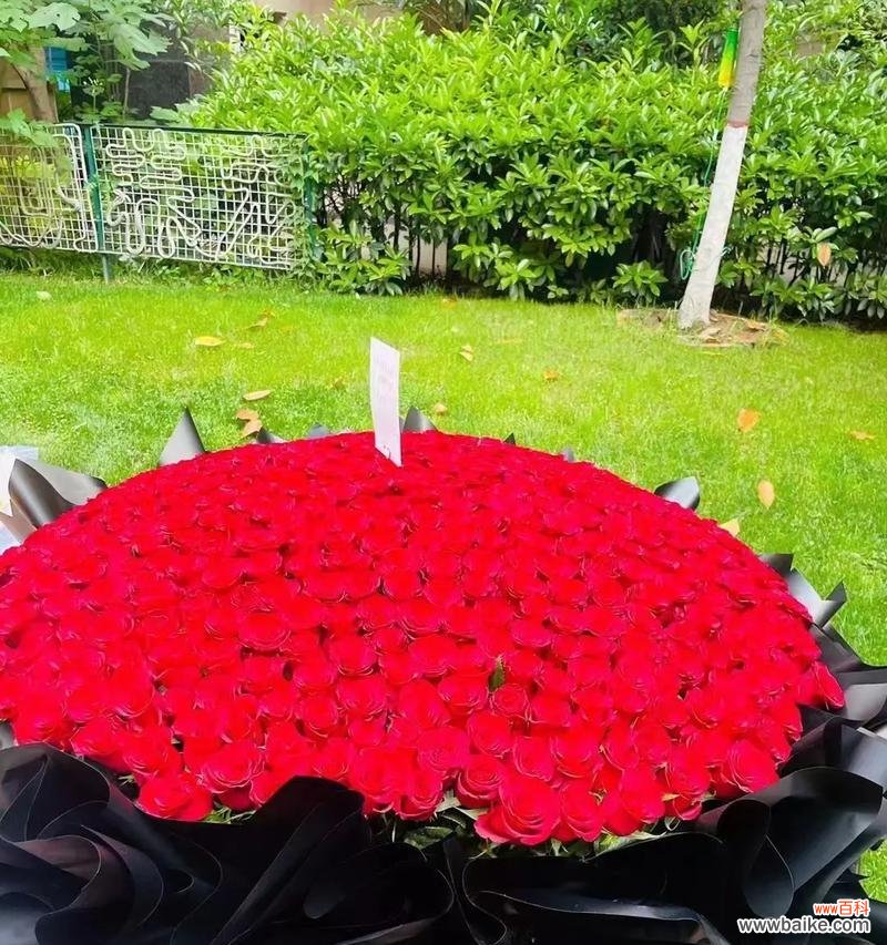 二十九朵玫瑰花代表了什么？