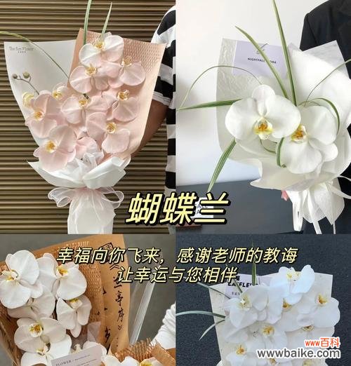 鲜花送朋友加花语是什么？送花时应该选择哪种花语？