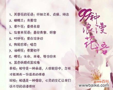 鲜花送朋友加花语是什么？送花时应该选择哪种花语？