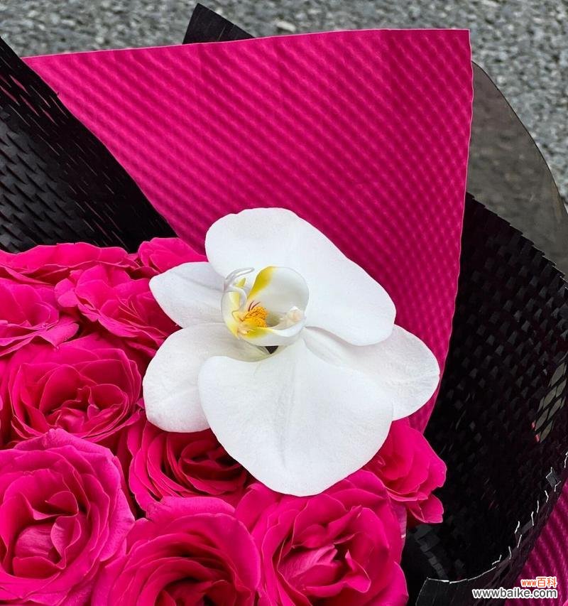 弗洛伊德理论中的花语代表什么?