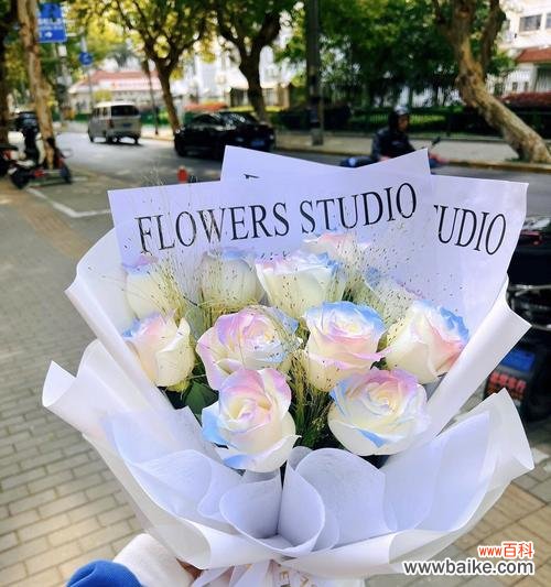 5朵人鱼姬玫瑰代表什么？