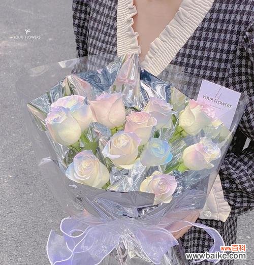 5朵人鱼姬玫瑰代表什么？