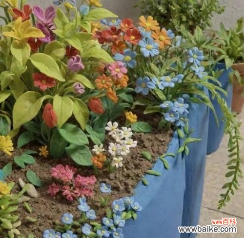 粘土花的花语寓意是什么?有何特别含义?