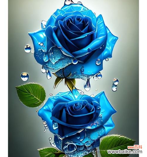 蓝色冰焰花的花语是什么？它象征着什么？