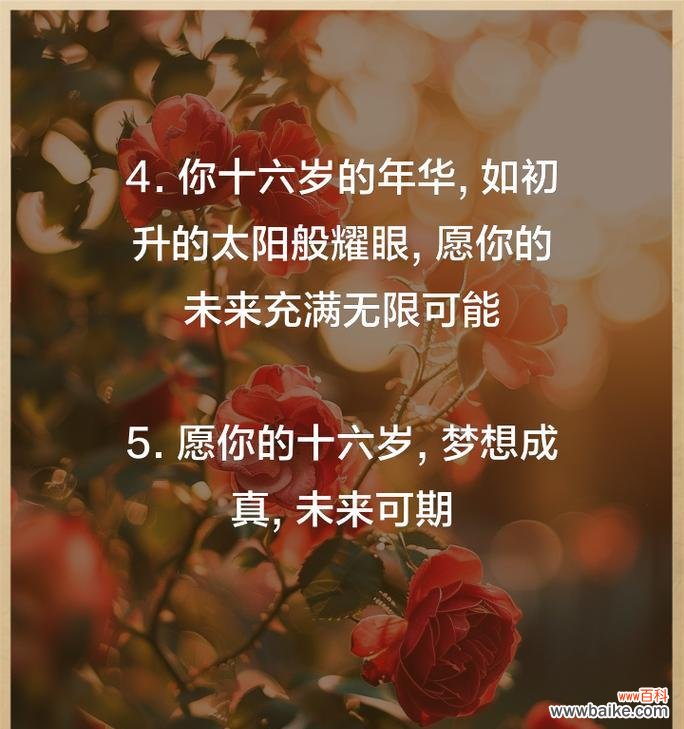 十六日的花语有何特别之处？这个日期对应的花语是什么？