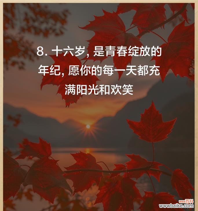 十六日的花语有何特别之处？这个日期对应的花语是什么？