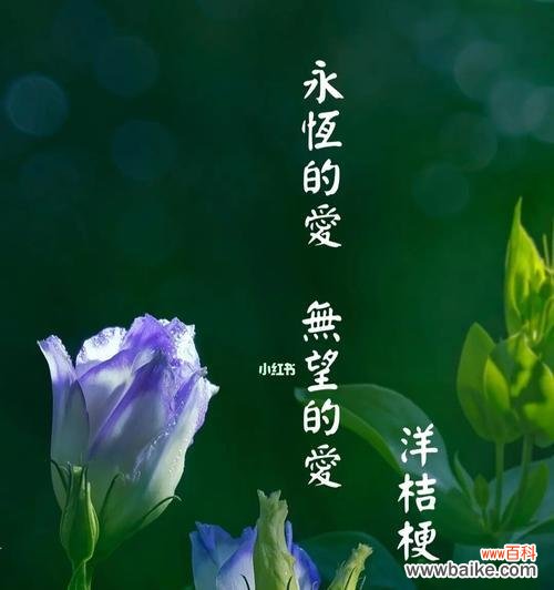 探究洋桔梗花语中的美好寓意与象征 洋桔梗的花语及其寓意