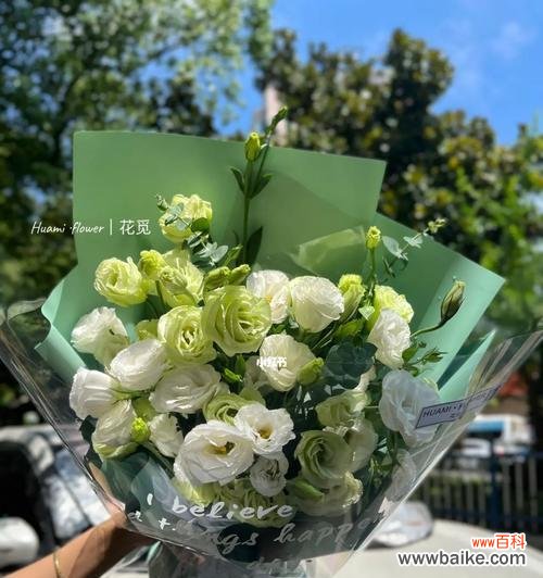 揭开洋桔梗的花语之谜，探索白色花朵的魅力 洋桔梗花语与美丽的白色花朵