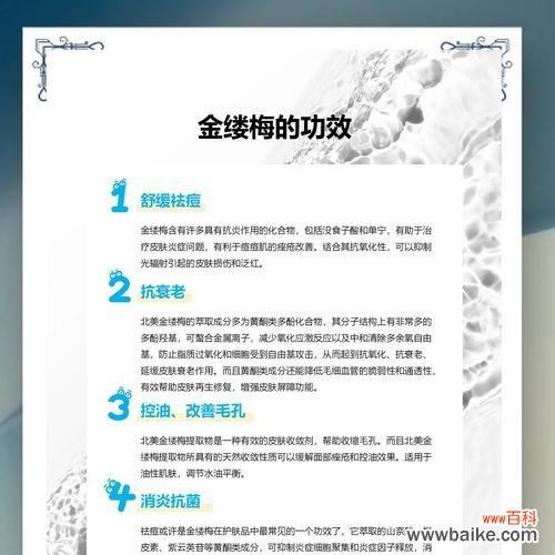 梅子的花语和寓意有哪些?