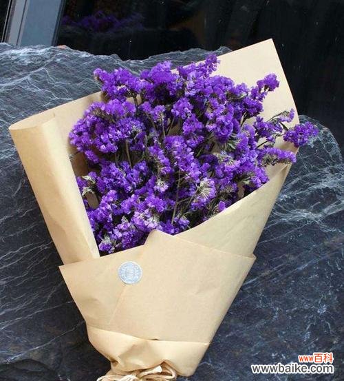 情人草的花语含义是什么?情人草象征着什么?