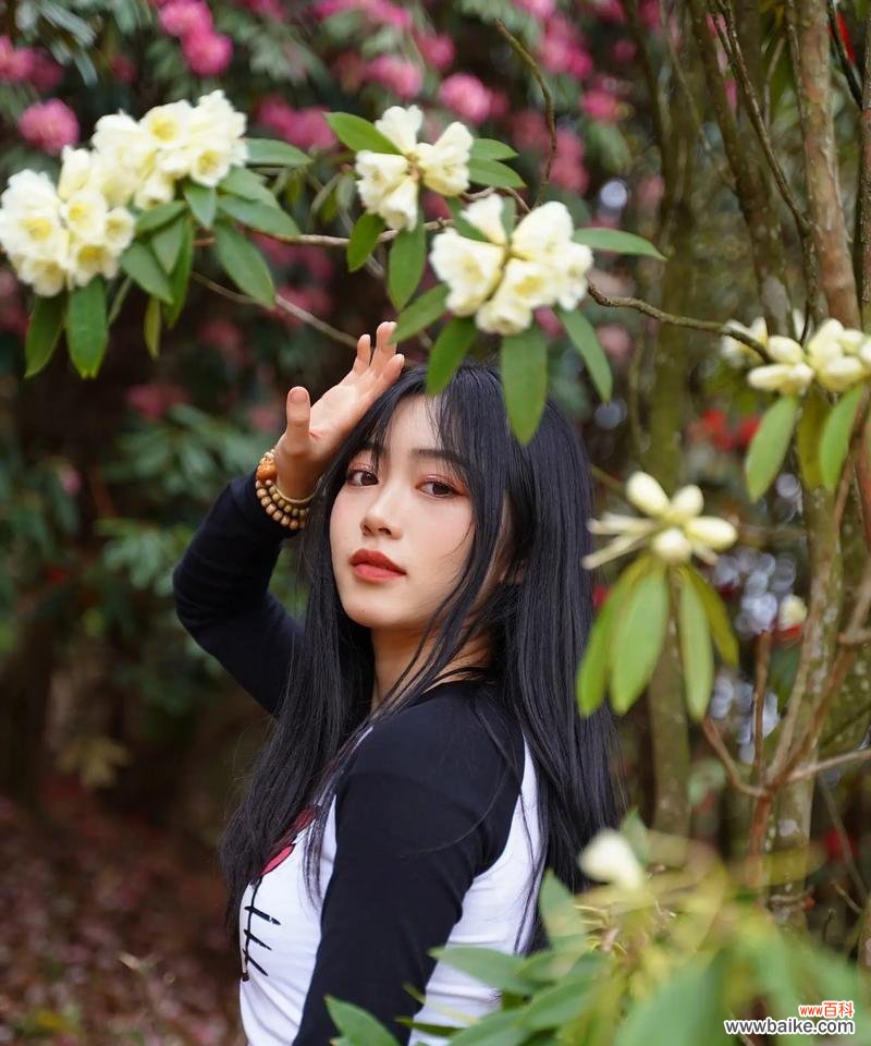 杜鹃花豆浆的花语是什么？它在花语中扮演什么角色？