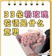 21朵玫瑰的花语和寓意是什么？