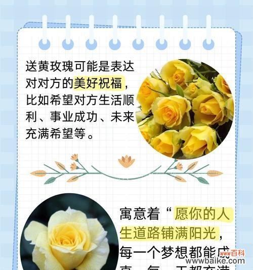 橘色玫瑰有几种不同的花语？