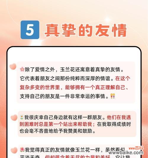道具玉兰的花语代表了什么？它有何特别的寓意？