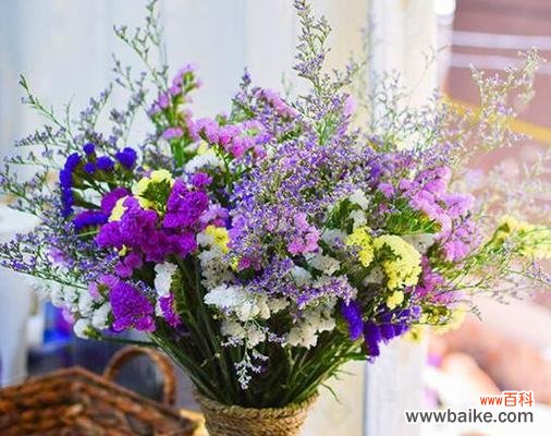 马蜂菜花语有哪些含义?