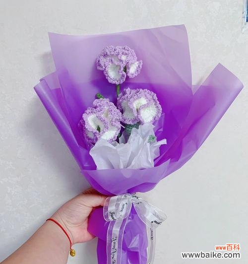 用一支康乃馨诠释真挚的情感，传递美好的祝福 康乃馨