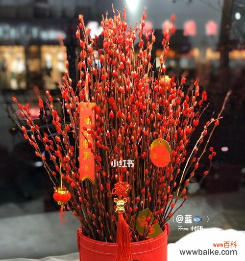 探寻银柳花的美丽与深意 银柳花的意义和象征