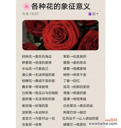 哪种花的花语代表男生对女生的喜欢?