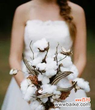 蓝棉花的花语代表什么?