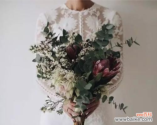 尤加利叶的花语寓意及象征意义 尤加利叶花语