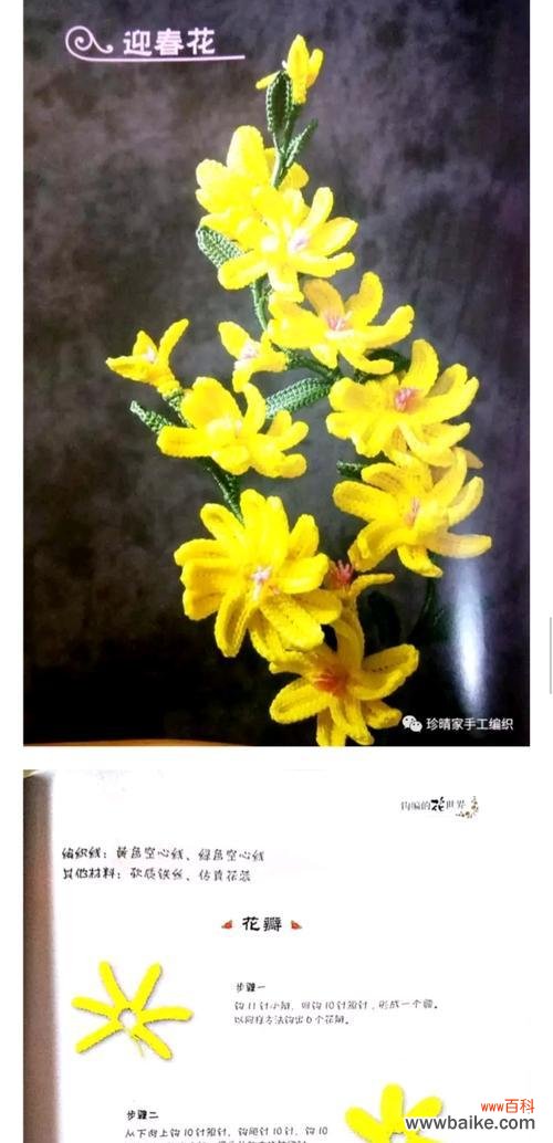 春天的使者，寓意美好的迎春花 迎春花的花语与象征