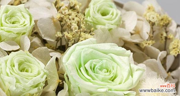 永生花的美丽故事与情感表达 永生花的花语