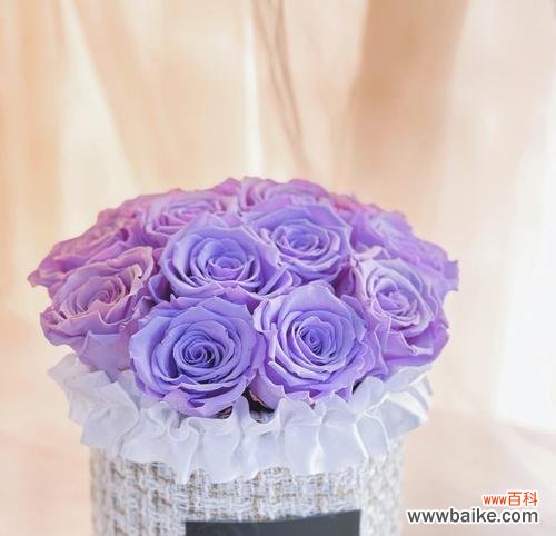 永生花的美丽故事与情感表达 永生花的花语