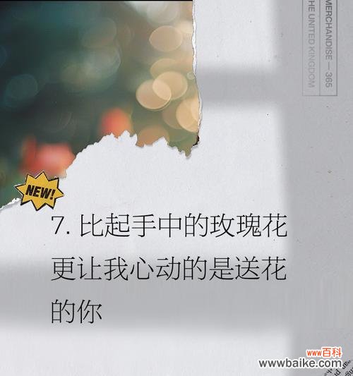 持续收到玫瑰花的深层含义是什么?