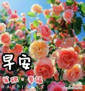 什么花都花语是开心的意思？哪种花代表快乐与愉悦？