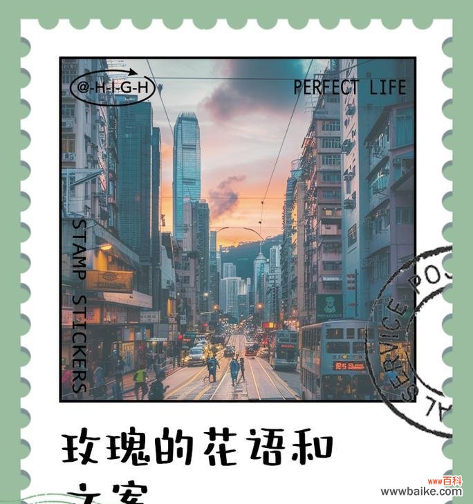 如何用花语表达不俗气的爱意？