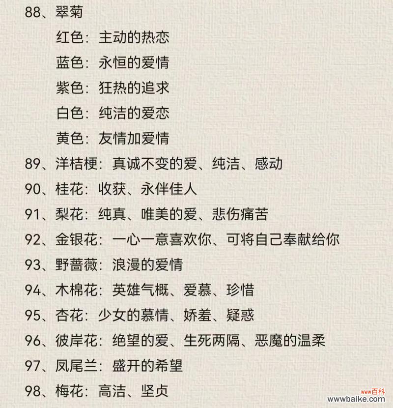 如何用花语表达不俗气的爱意？