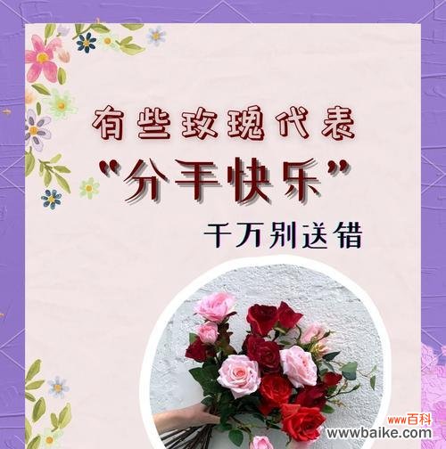 如何用花语表达不俗气的爱意？