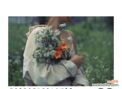 为何爱会导致分离的花语？