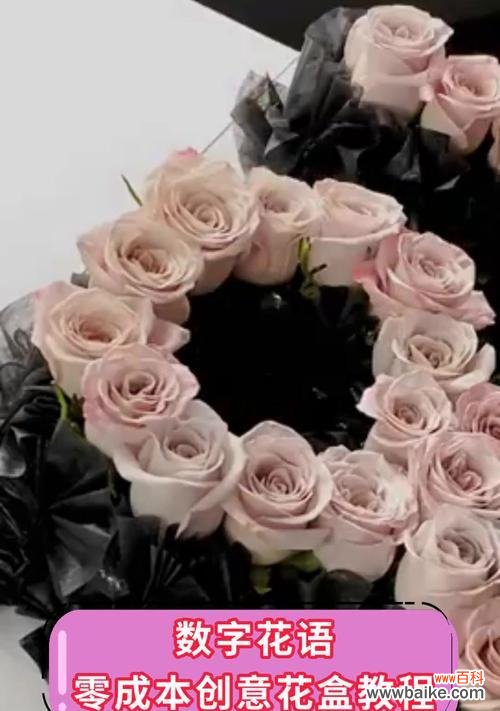 数字19的花语代表了什么?它有何特别意义?