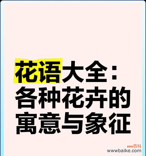 比较少见的花语是什么?它们各自代表了什么?