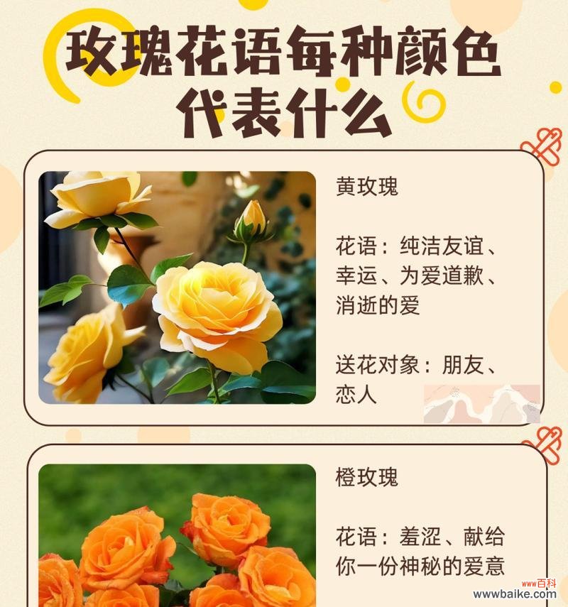 海滨玫瑰的花语是什么意思?海滨玫瑰象征着什么?