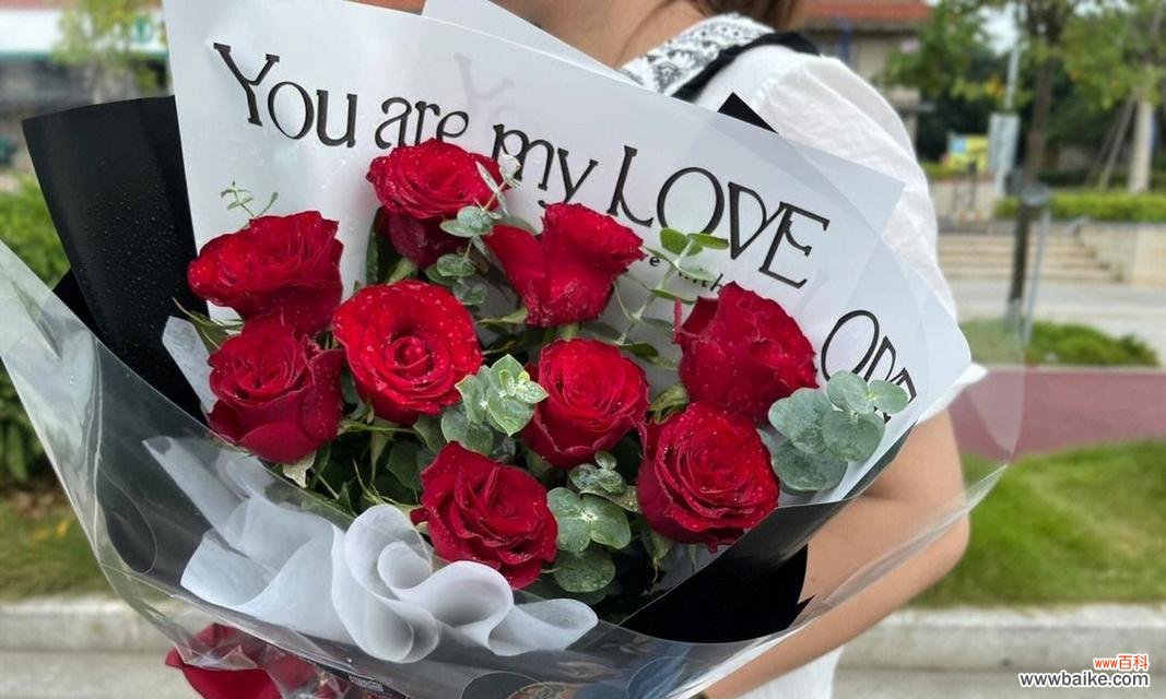 海滨玫瑰的花语是什么意思?海滨玫瑰象征着什么?