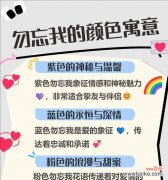 哪种花语最能吸引人？最受欢迎的花语有哪些？