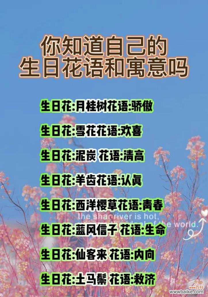 哪种花语最能吸引人?最受欢迎的花语有哪些?