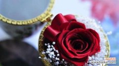 揭开永生花的花语之谜 永生花