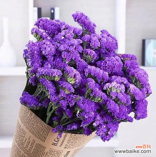 送女朋友特殊花语的花有哪些?它们各自代表什么意义?