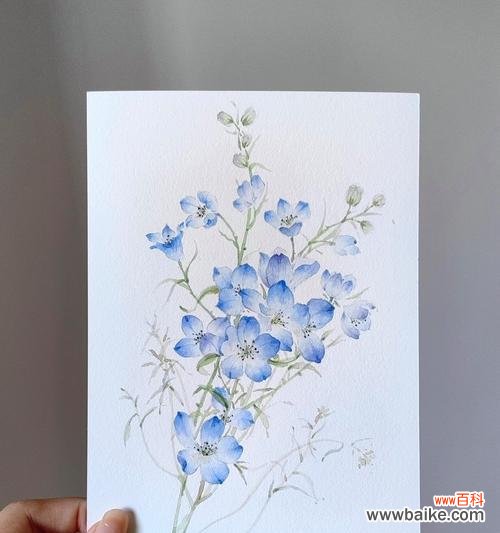花语寓意自由快乐的花是什么花?如何用花语表达快乐?