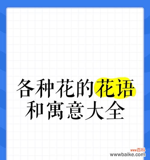 花语寓意自由快乐的花是什么花?如何用花语表达快乐?