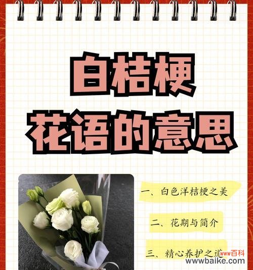 桔梗花期过后花语有何变化?