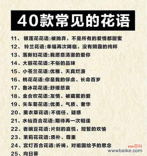 花语中不顾陌路人的含义是什么？